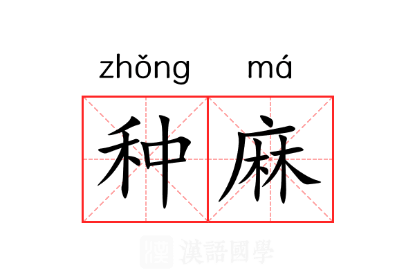种麻 种麻
