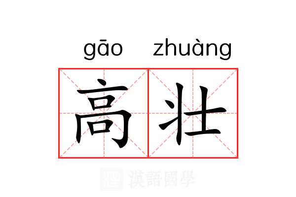 高壮 高壮