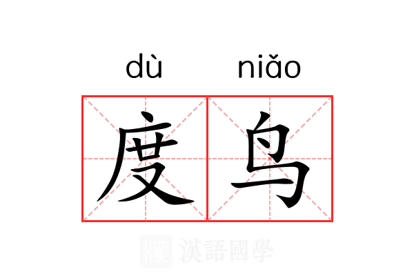 度鸟 度鸟