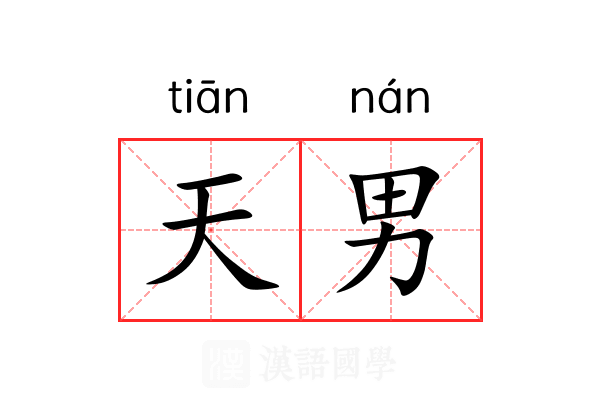 天男 天男