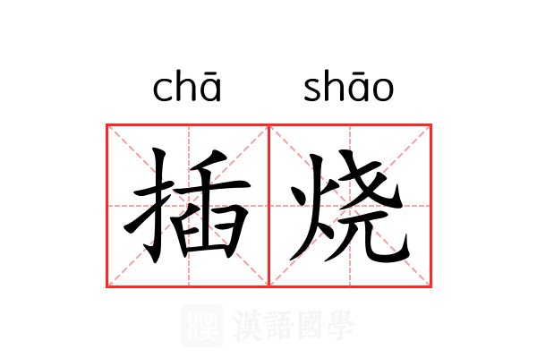 插烧 插烧