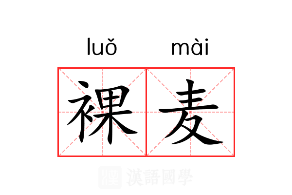 裸麦