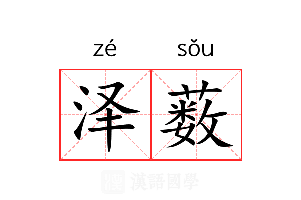 泽薮