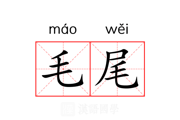 毛尾 毛尾