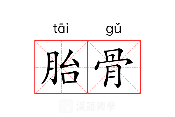 胎骨 胎骨