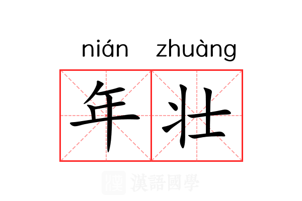 年壮 年壮