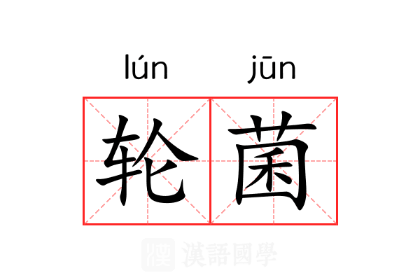 轮菌