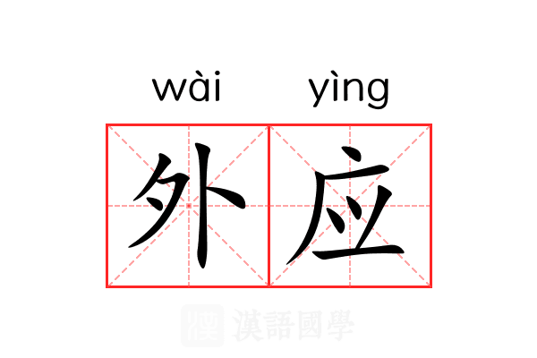 外应 外应