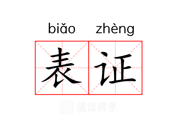 表证 表证