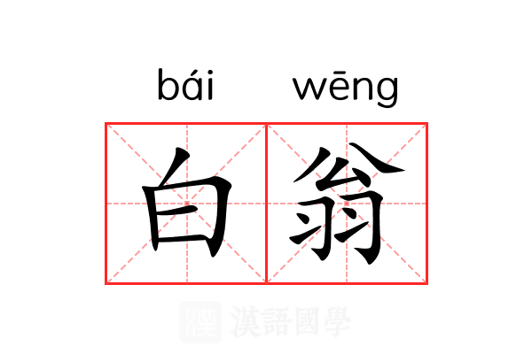 白翁