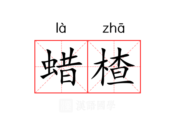 蜡楂 蜡楂