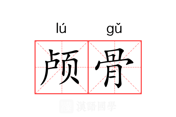 颅骨