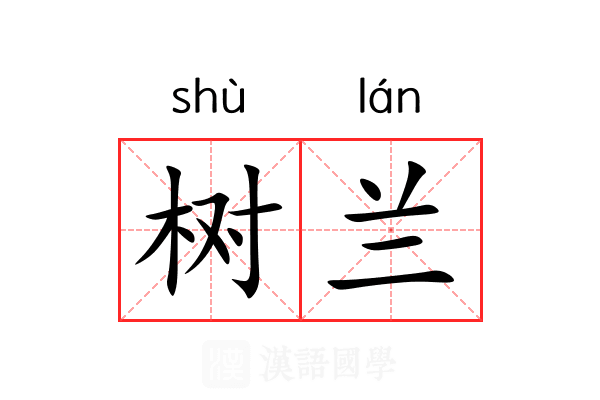 树兰 树兰