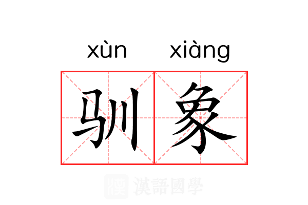 驯象