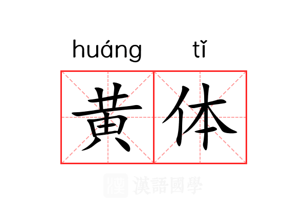 黄体 黄体