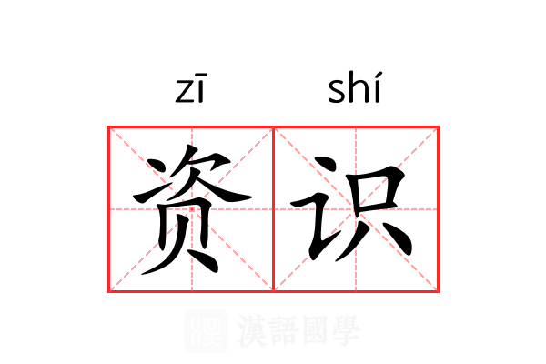 资识 资识