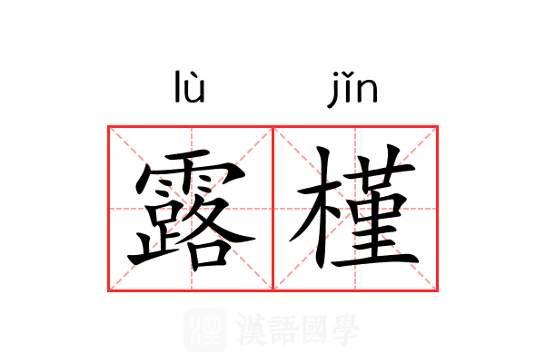 露槿 露槿