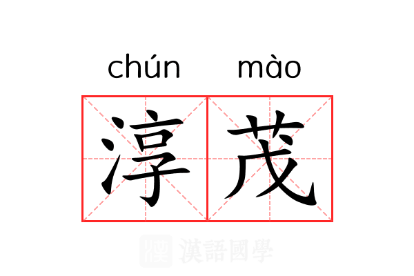 淳茂