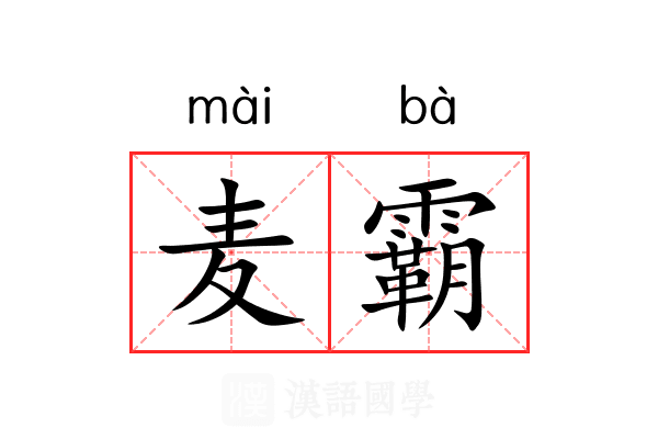 麦霸 麦霸