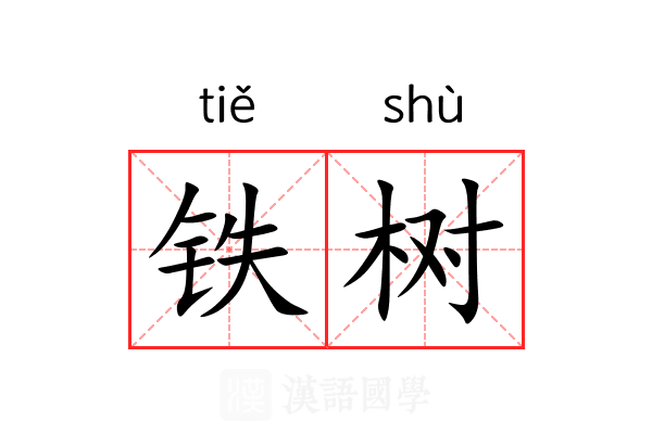 铁树