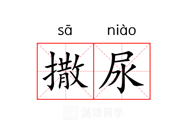 撒尿