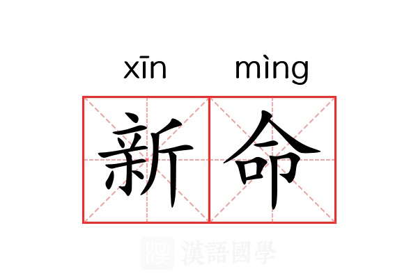 新命 新命