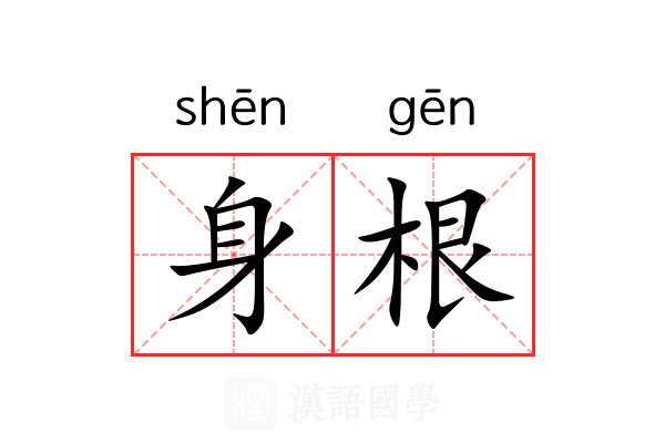身根 身根