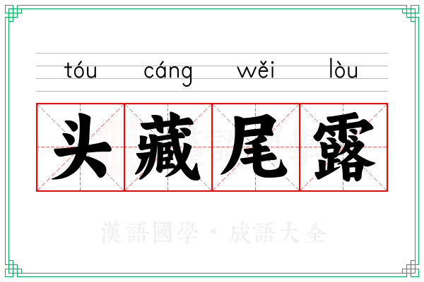 头藏尾露 头藏尾露