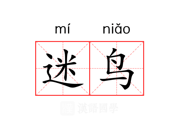 迷鸟