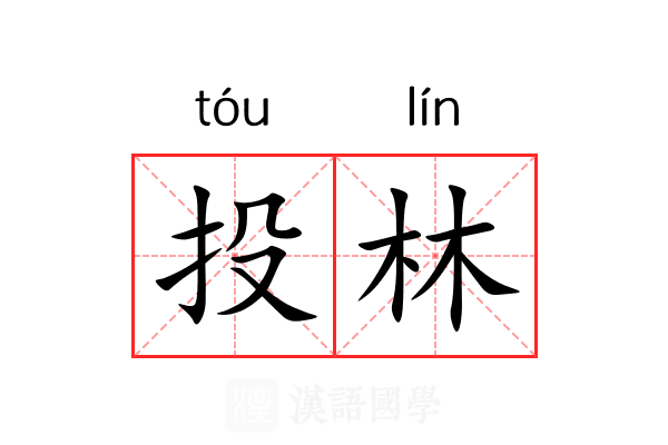 投林 投林