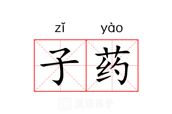 子药 子药