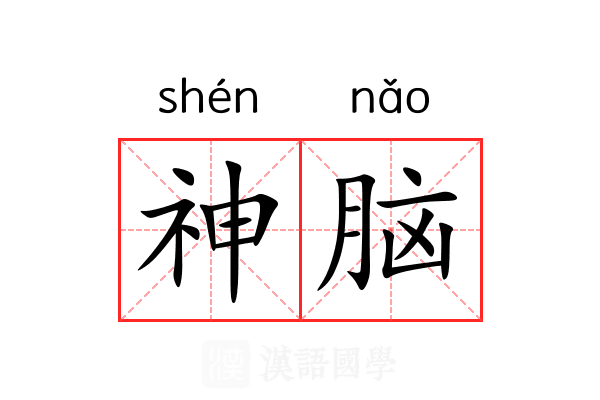 神脑 神脑
