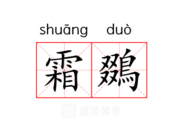 霜鵽