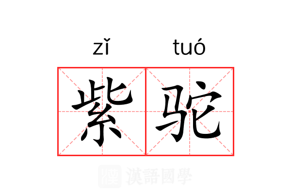 紫驼 紫驼