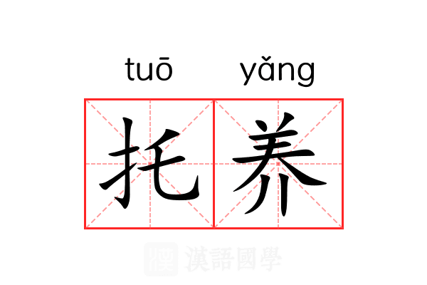 托养 托养