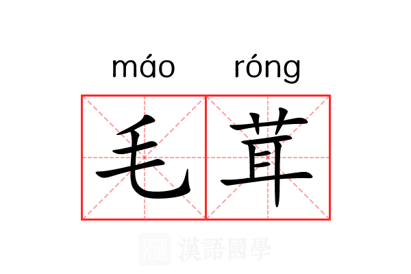 毛茸 毛茸