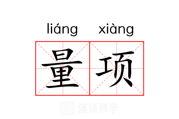 量项 量项