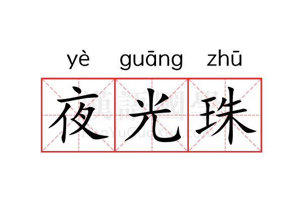 夜光珠 夜光珠