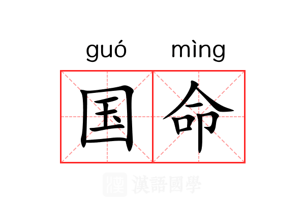 国命