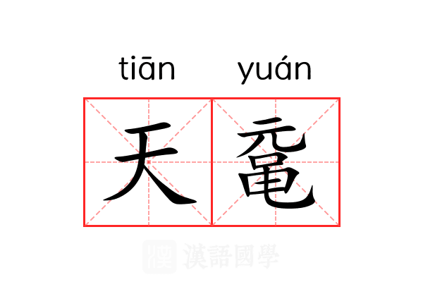 天鼋 天鼋