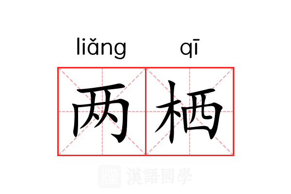 两栖