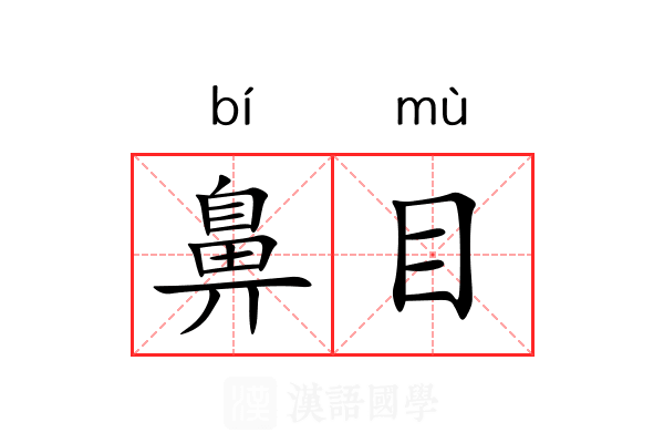 鼻目 鼻目