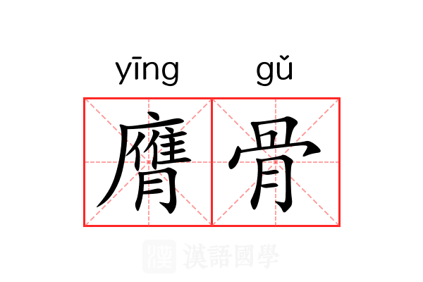 膺骨 膺骨
