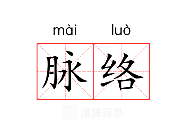 脉络 脉络
