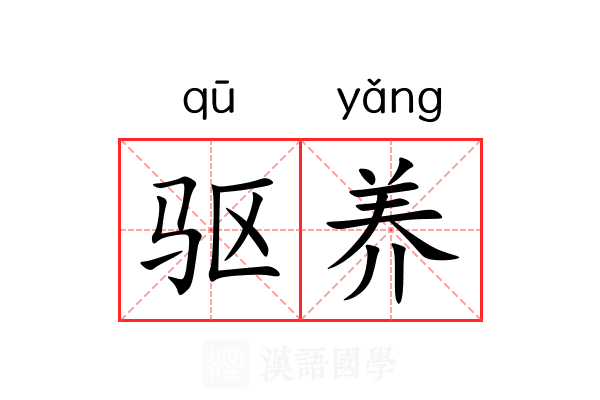 驱养 驱养