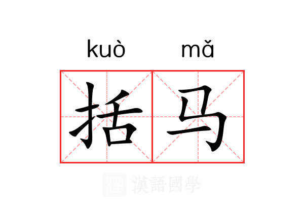 括马