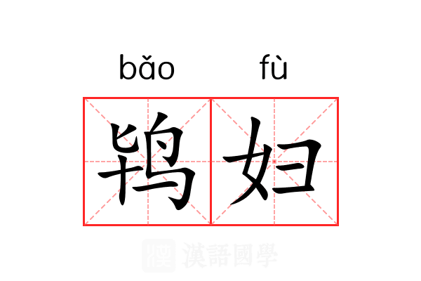鸨妇