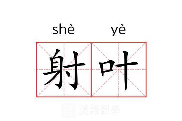 射叶 射叶