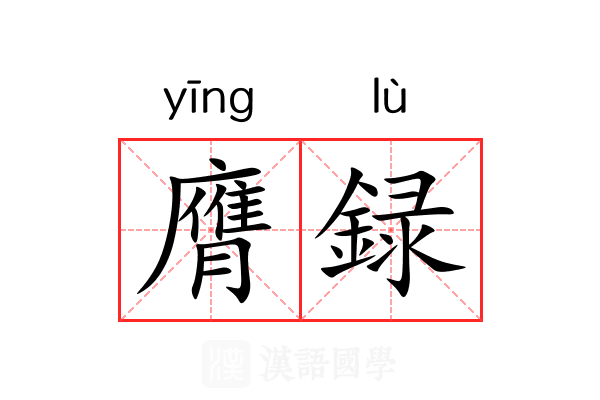 膺録