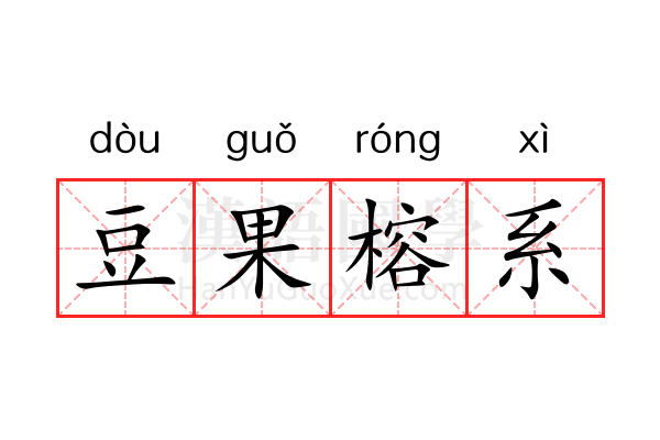 豆果榕系 豆果榕系